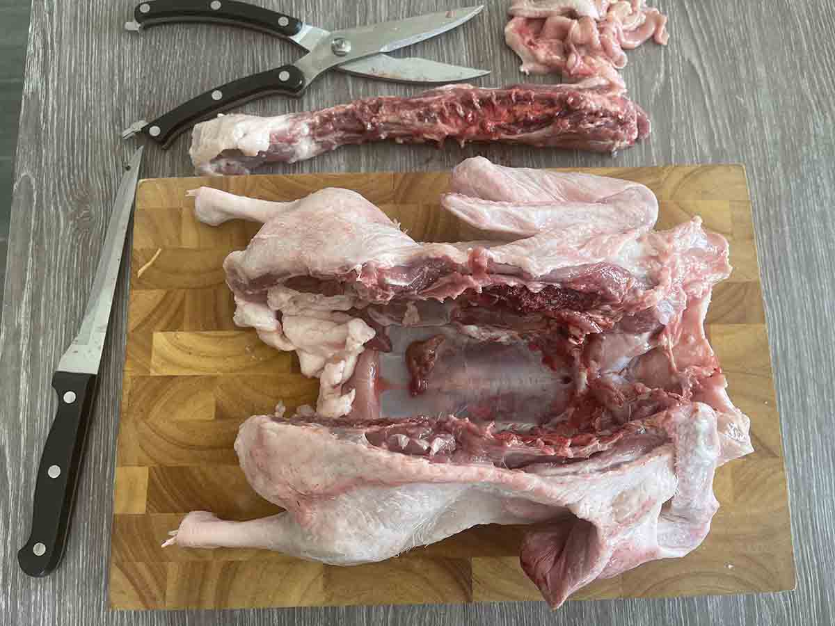 backbone removed.