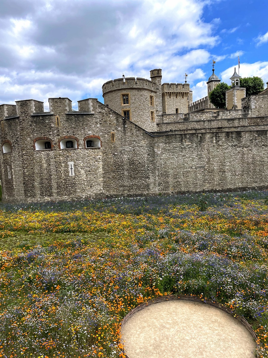 The Tower Of London And Superbloom