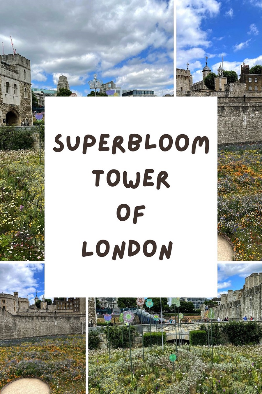 Superbloom Tower Of London