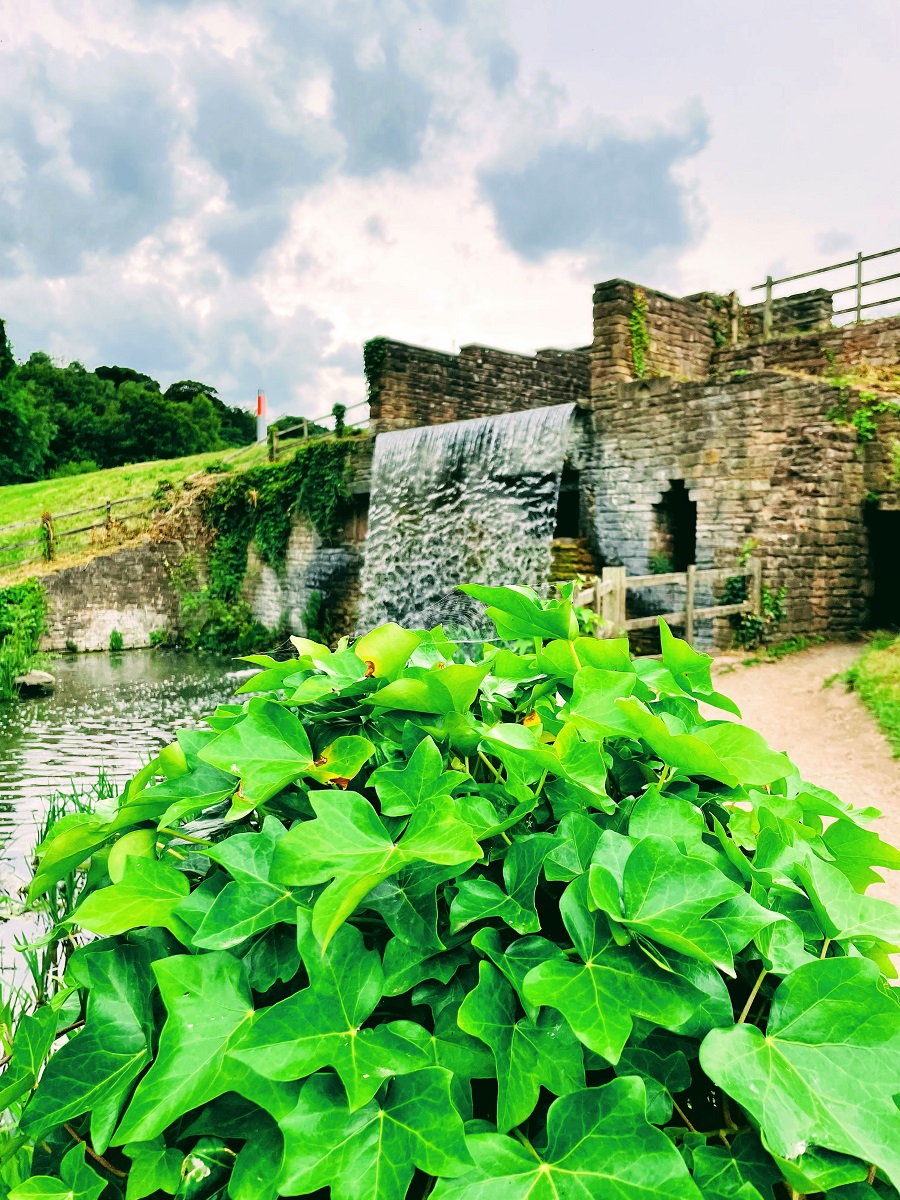 3rd July 2022 Newsletter: Claire Justine Vol 2. Newstead Abbey