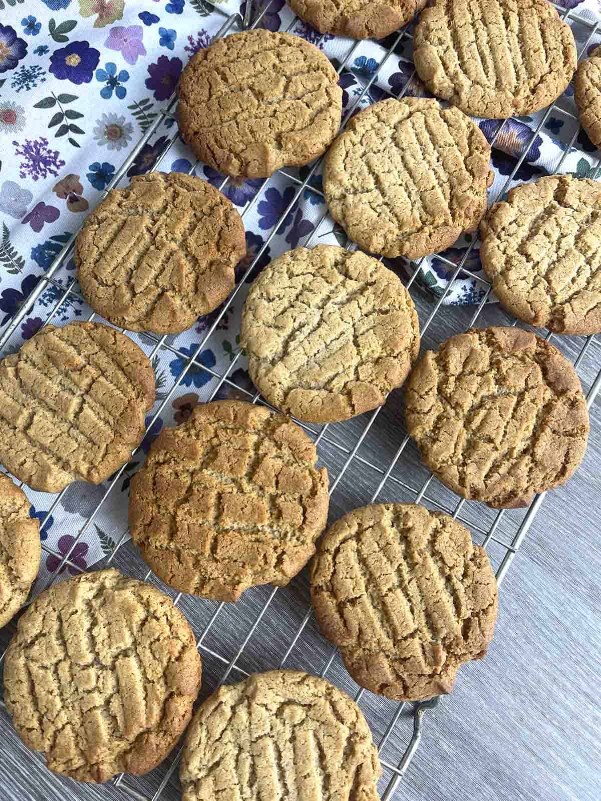 ginger nuts on a cooling rack.
