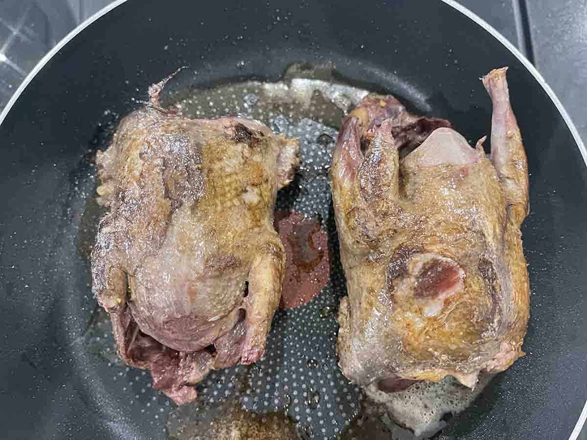 pigeons searing in a pan.