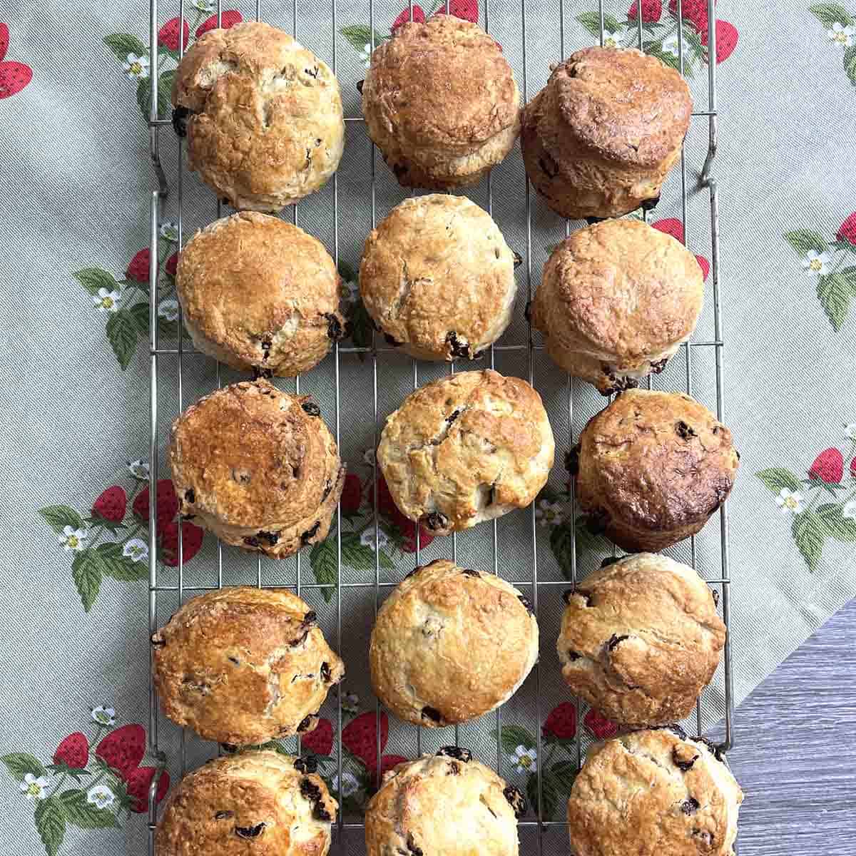 sultana scones on a cooling rack.