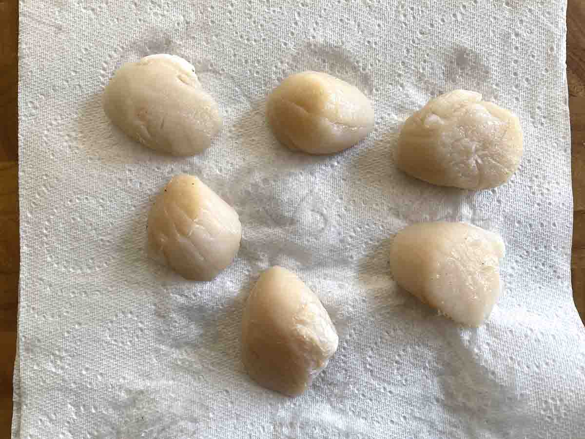 scallops on kitchen towel.