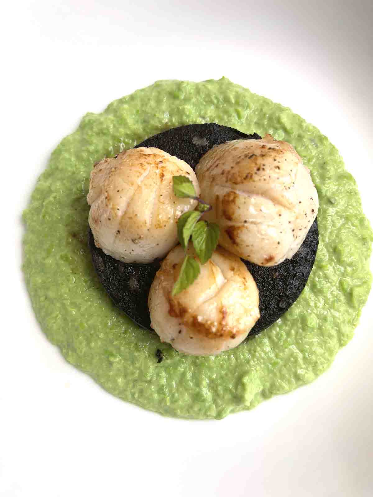 pan seared scallops and black pudding on pea puree.
