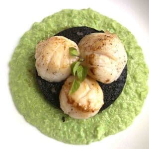 pan seared scallops and black pudding on pea puree.