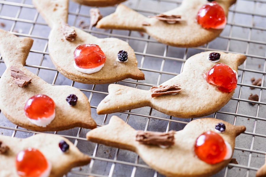 Mixed Spiced Christmas Robin Biscuits