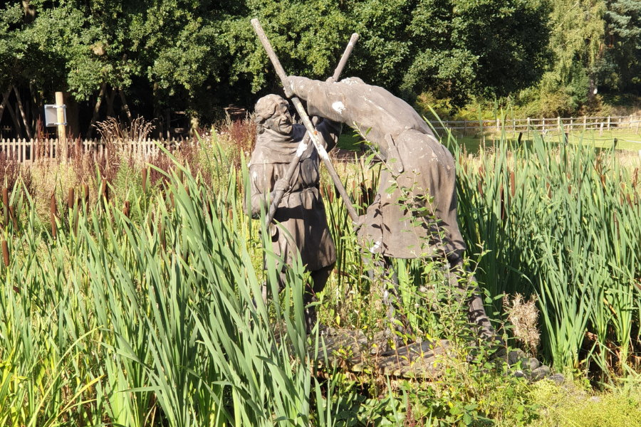 Sherwood Forest: The International Day of Forests