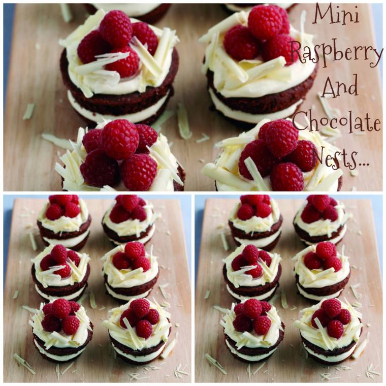 Mini Raspberry And Chocolate Nests