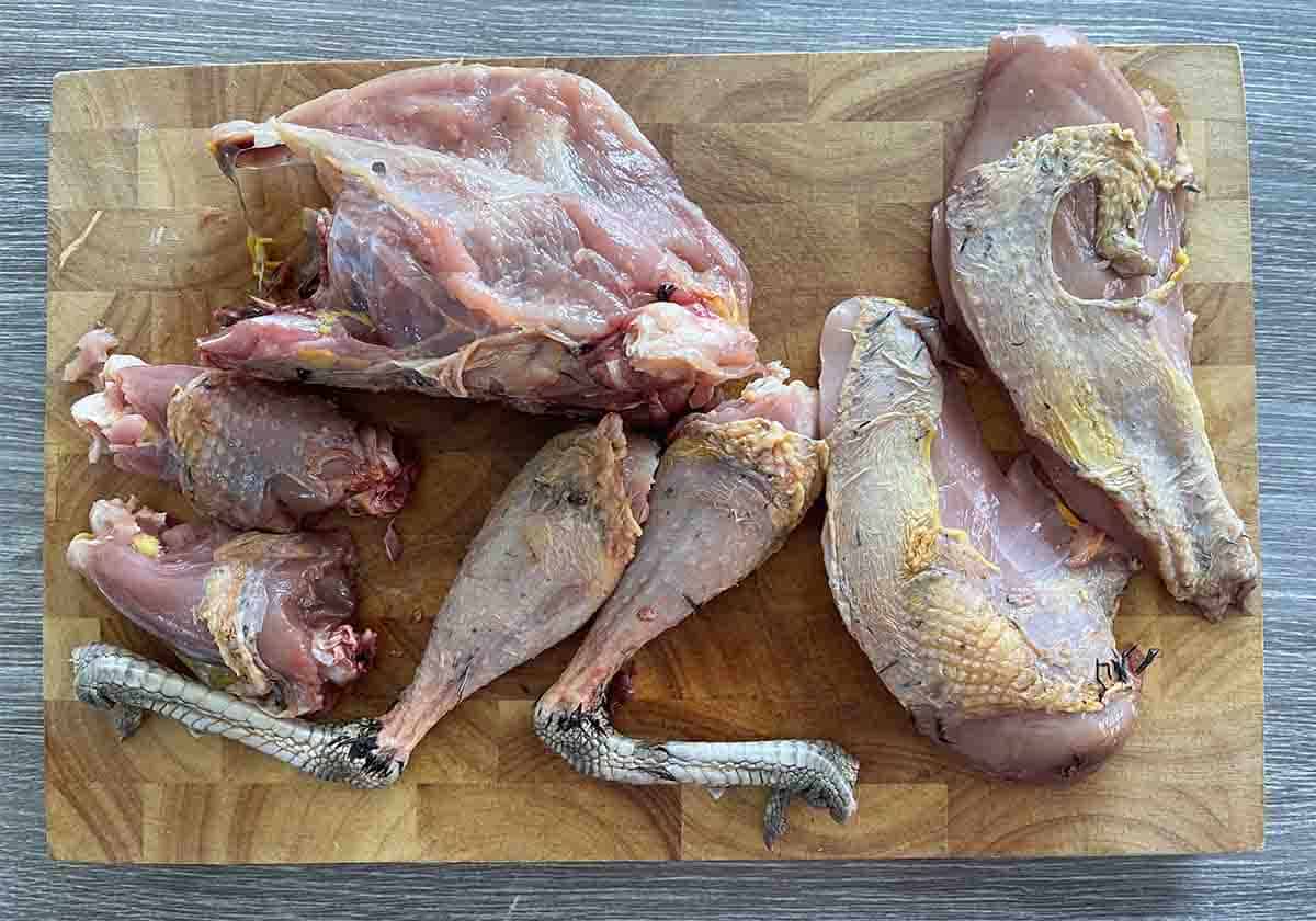 jointed pheasant.