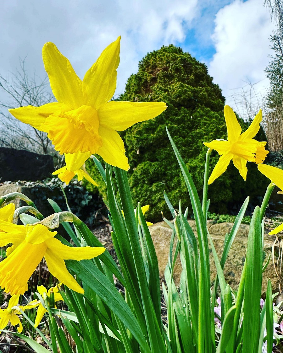 17 Motivational Spring Quotes