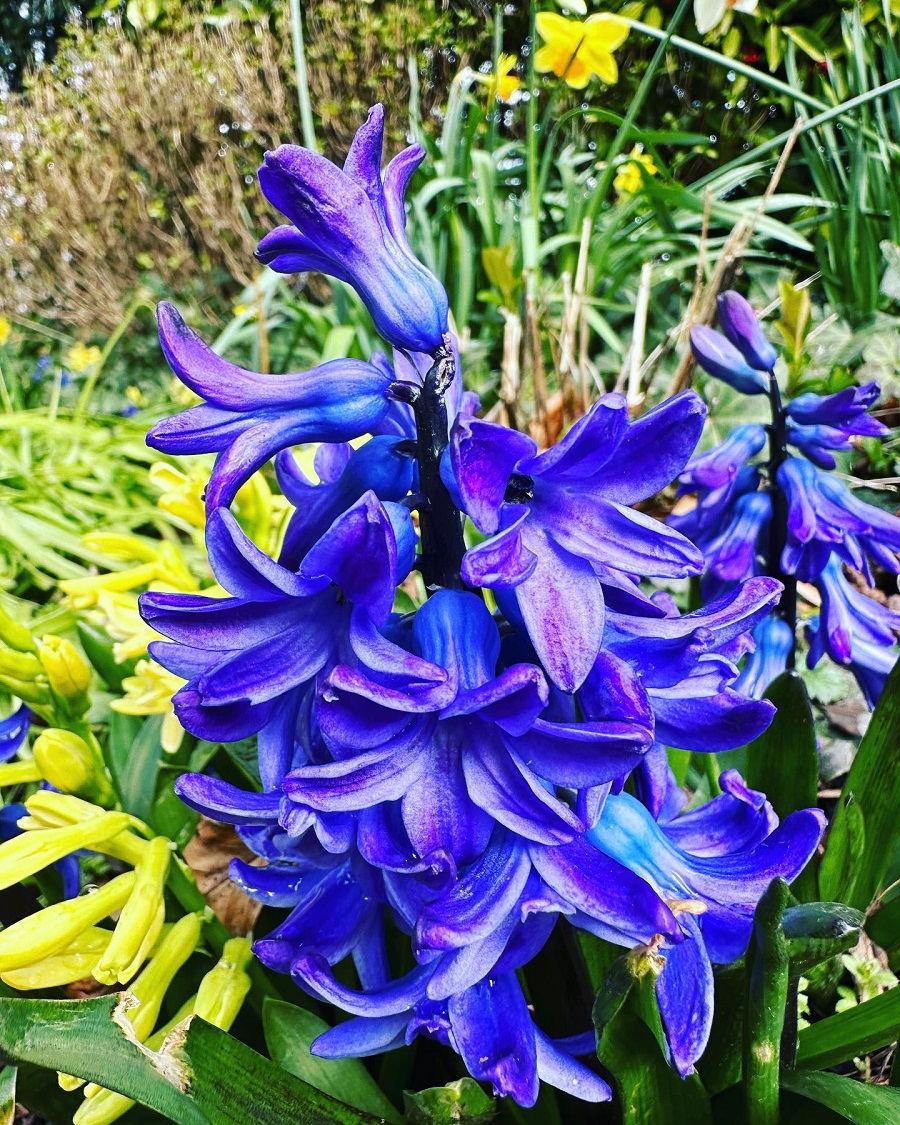 17 Motivational Spring Quotes