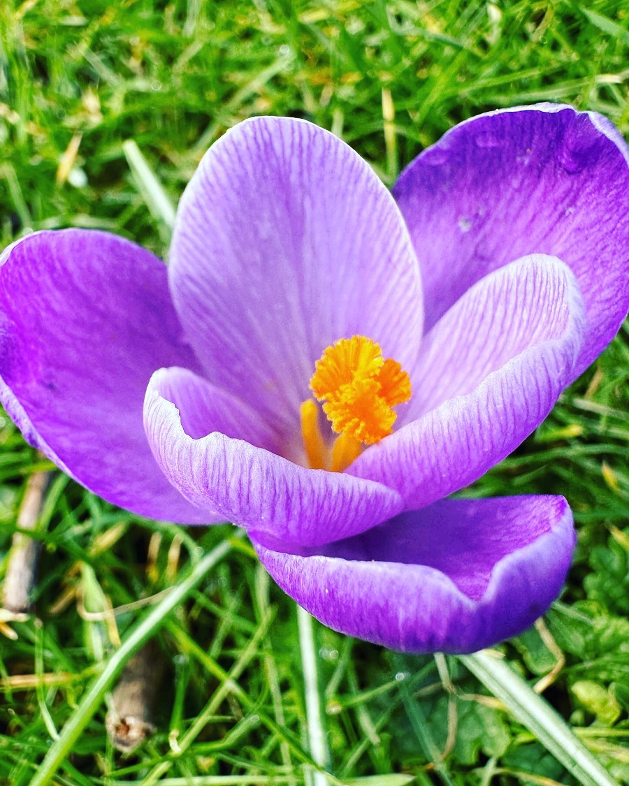 17 Motivational Spring Quotes 