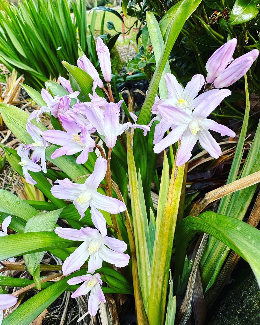 17 Motivational Spring Quotes 