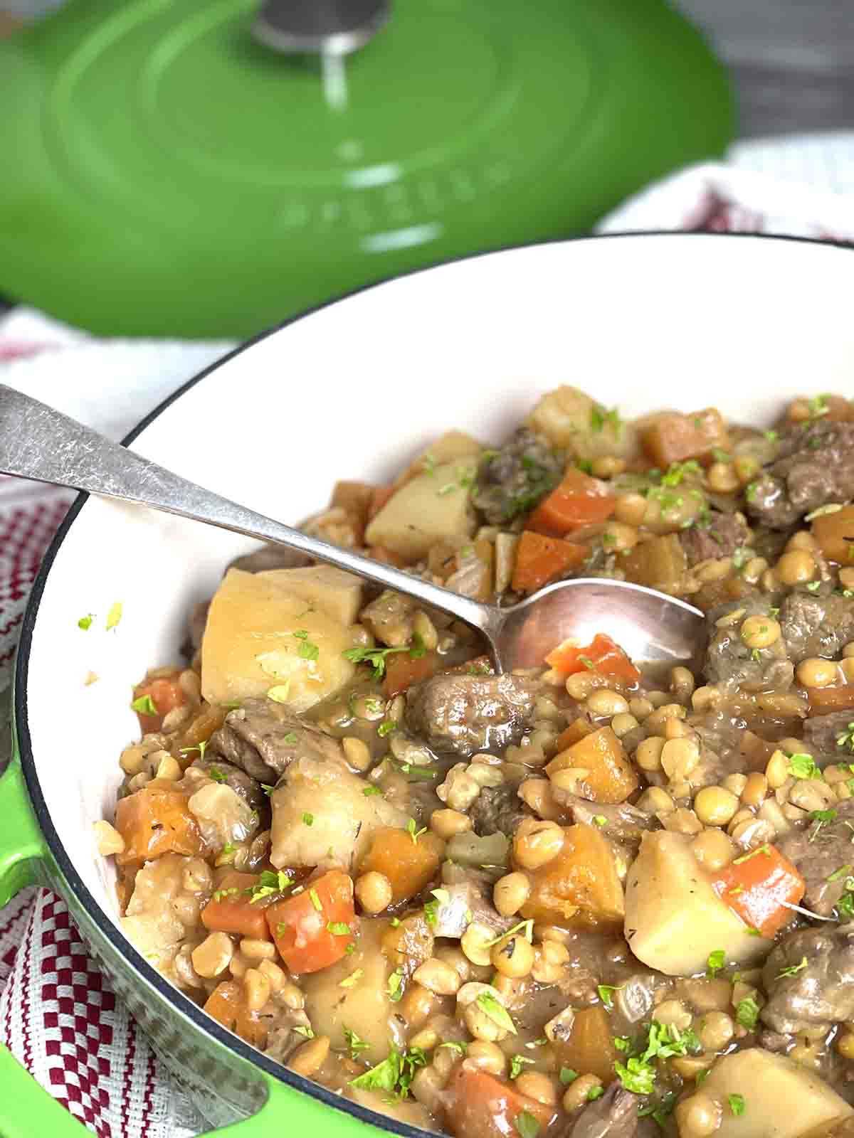 close up of beef stew.