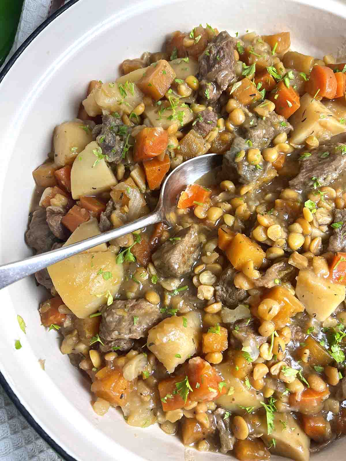 close up of beef stew.