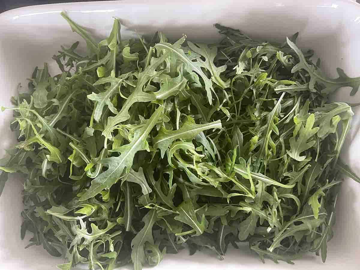rocket in a dish.