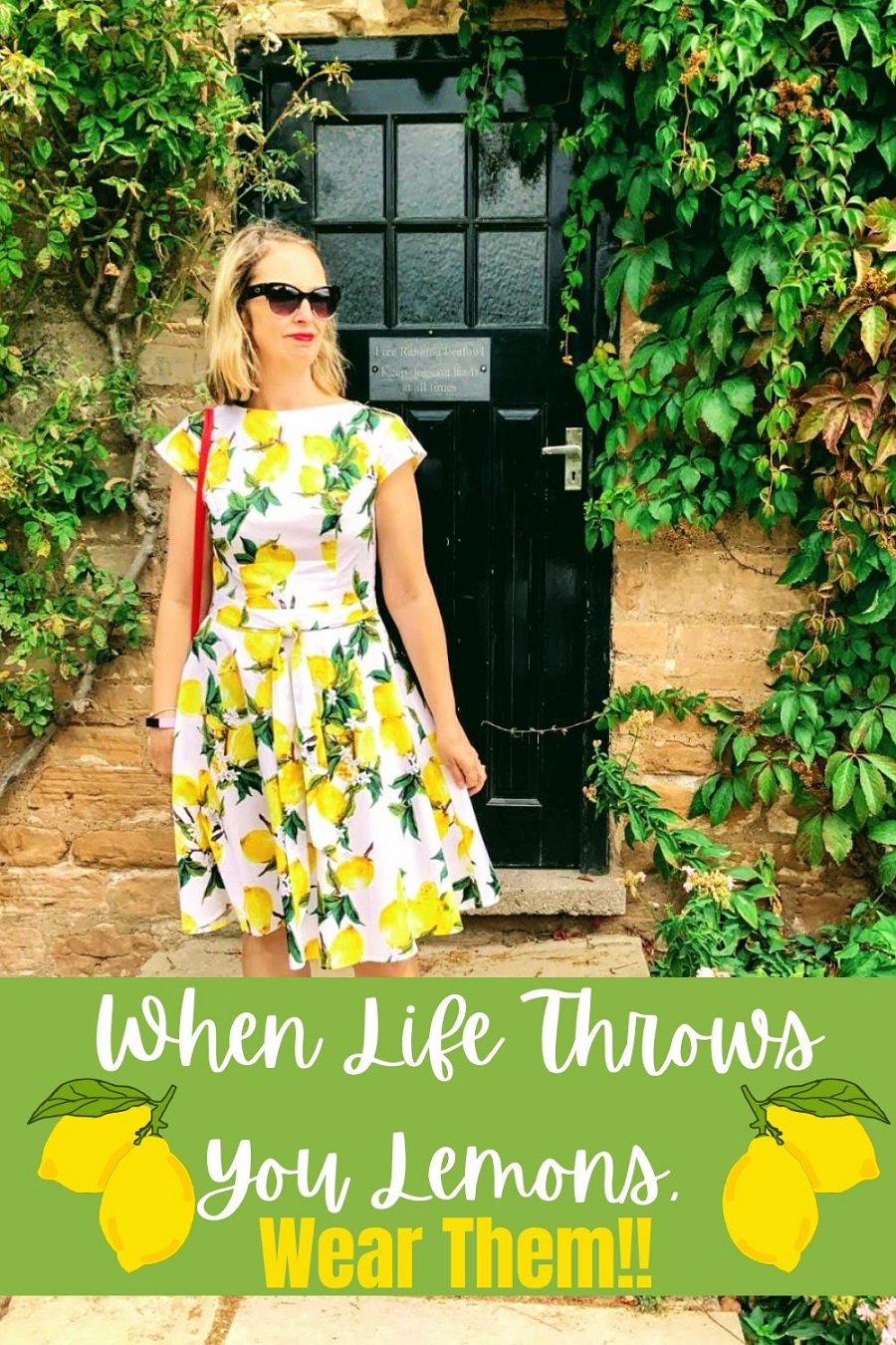 9 Tasty Lemon Recipes When Life Throws You Lemons, Wear Them!!