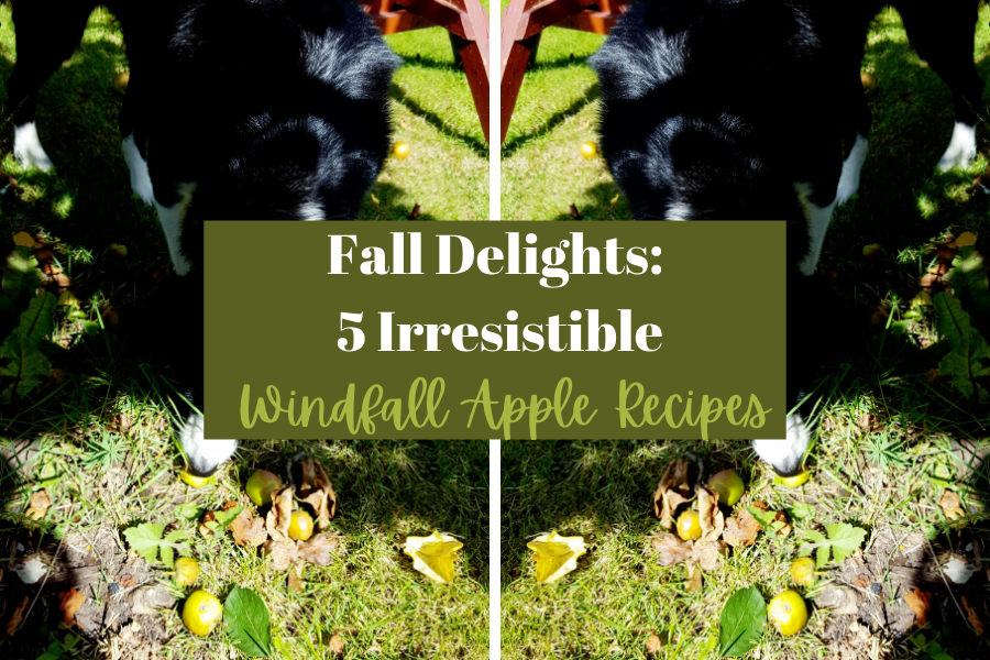 Fall Delights: 5 Irresistible Windfall Apple Recipes