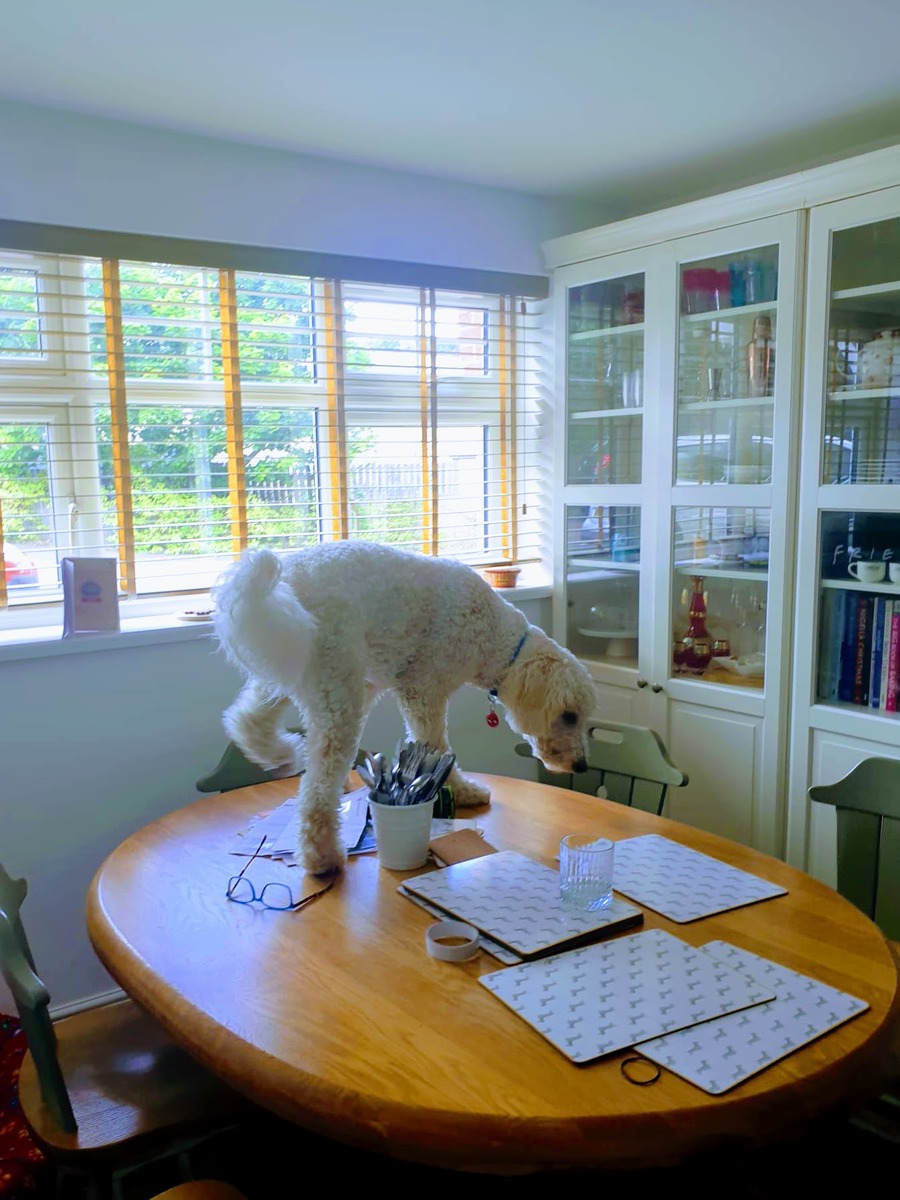 LIATORP Storage Combination With Doors