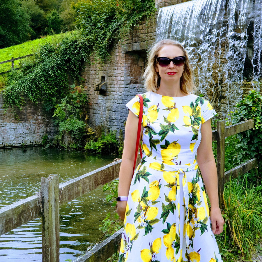 9 Tasty Lemon Recipes 9 Tasty Lemon Recipes