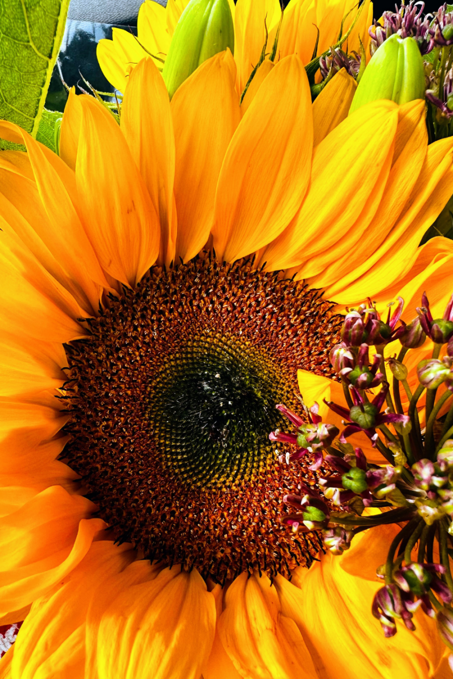 5 Upcycle Garden Ideas: Creative Ideas For Spring