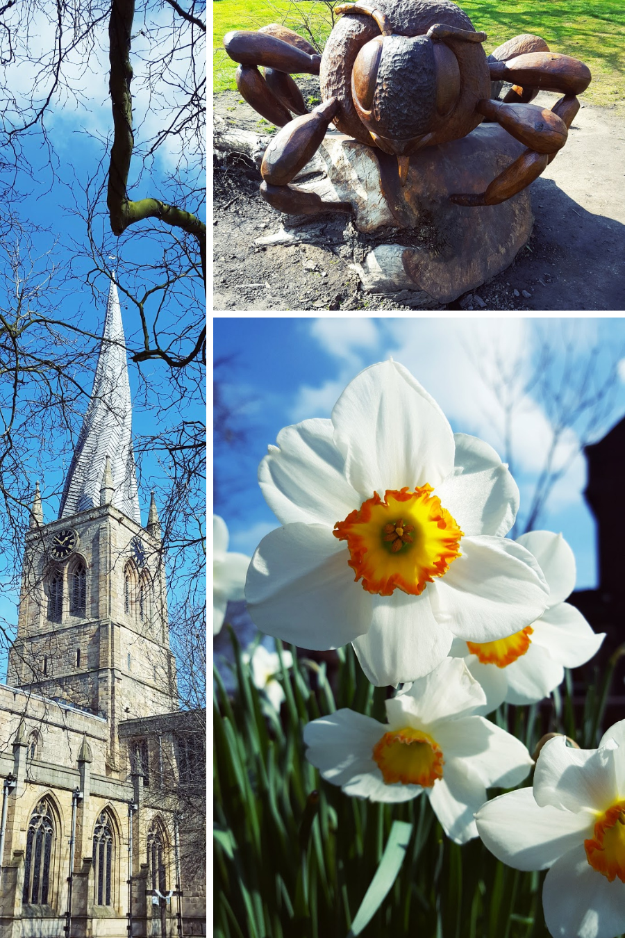 Blue Skies And Daffodils Blue Skies And Daffodils