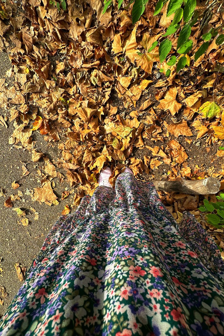 Escape The Bustle Of London At Russell Square Park