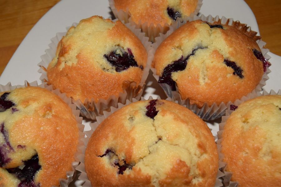 Blueberry Muffins