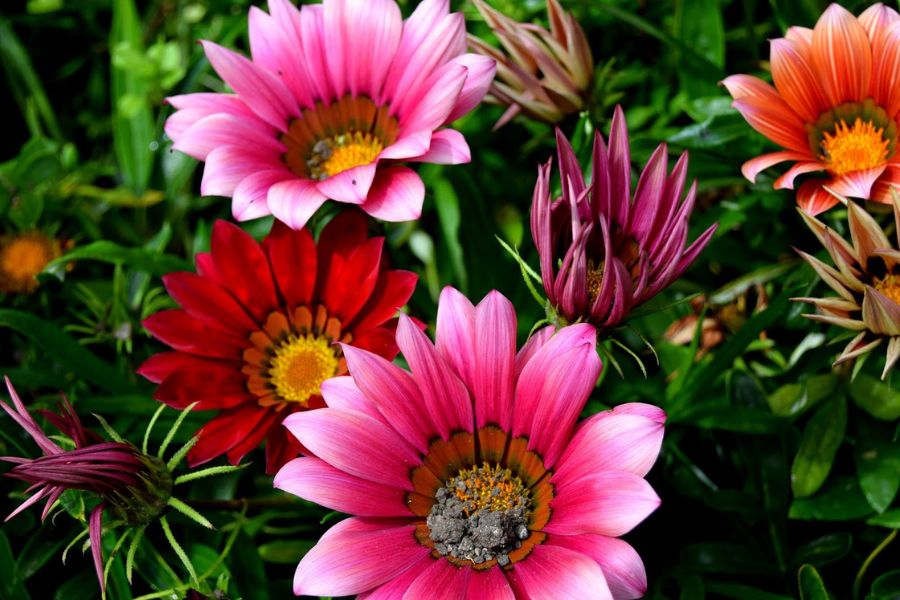 Spending Summer Days In Bakewell