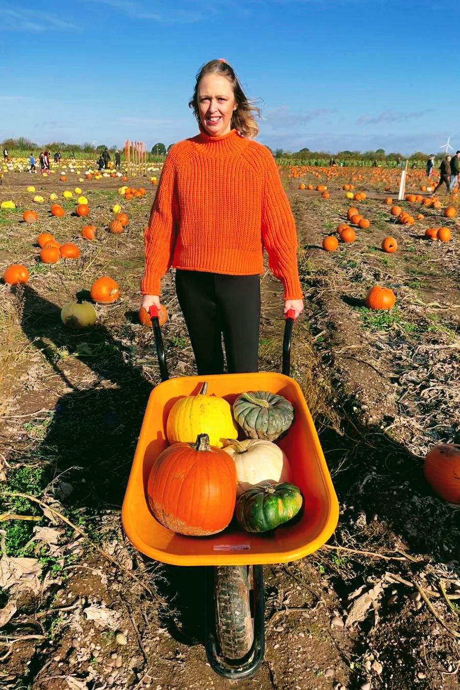 17 Tasty Pumpkin Recipes For You To Try This October