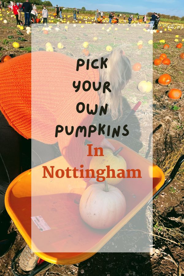 Pick Your Own Pumpkins In Nottingham