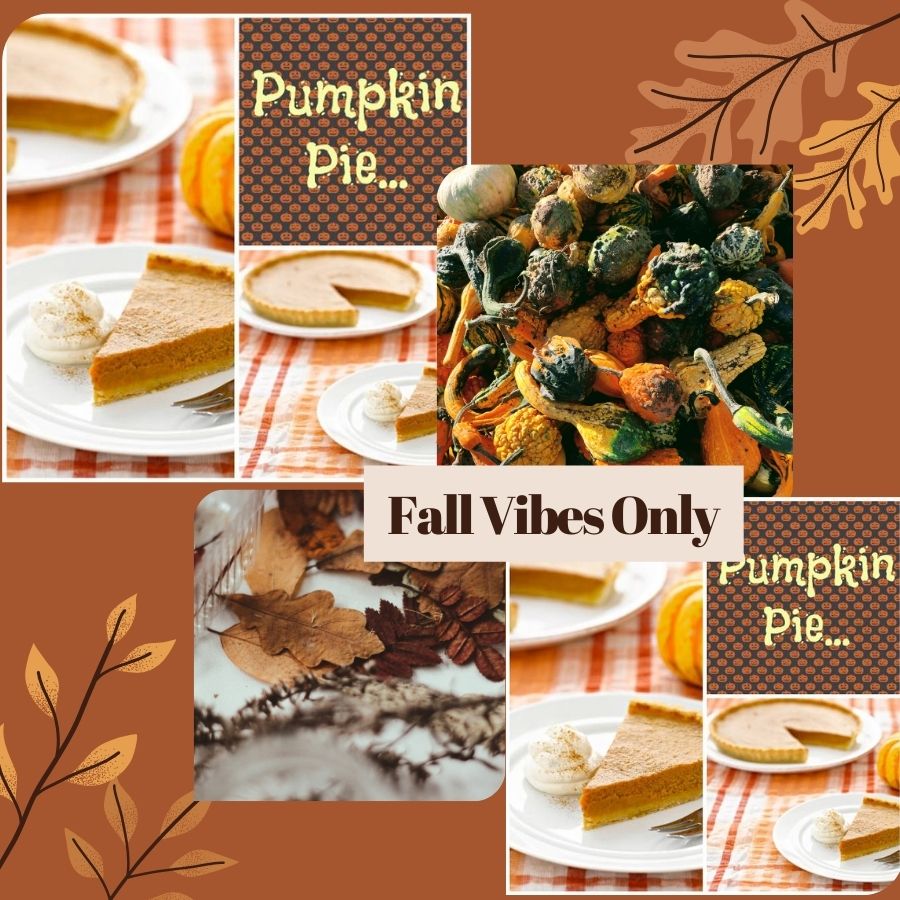 Pumpkin Pie: Perfect For An Autumnal Treat