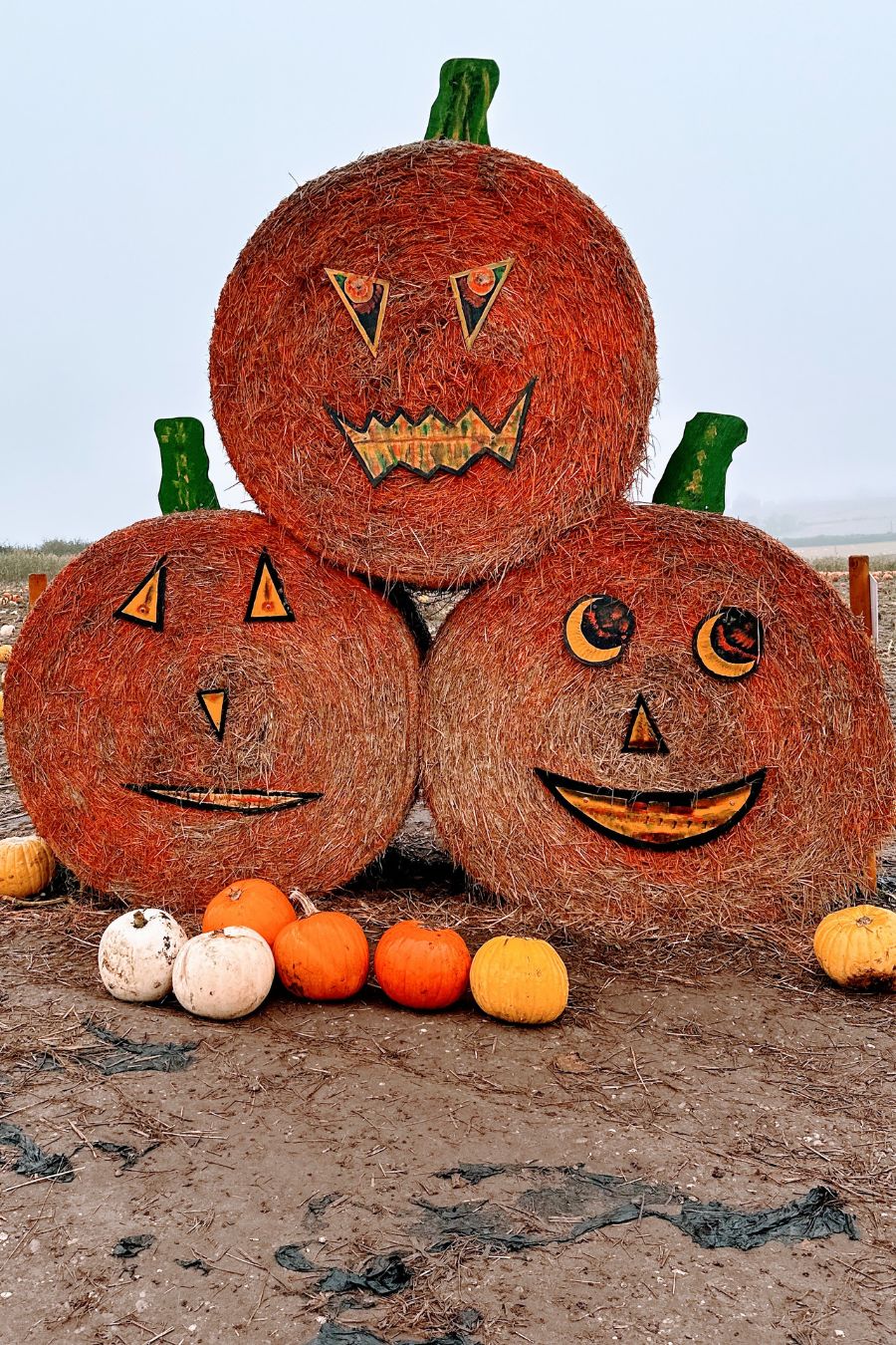 The Pumpkin Farm Adventure