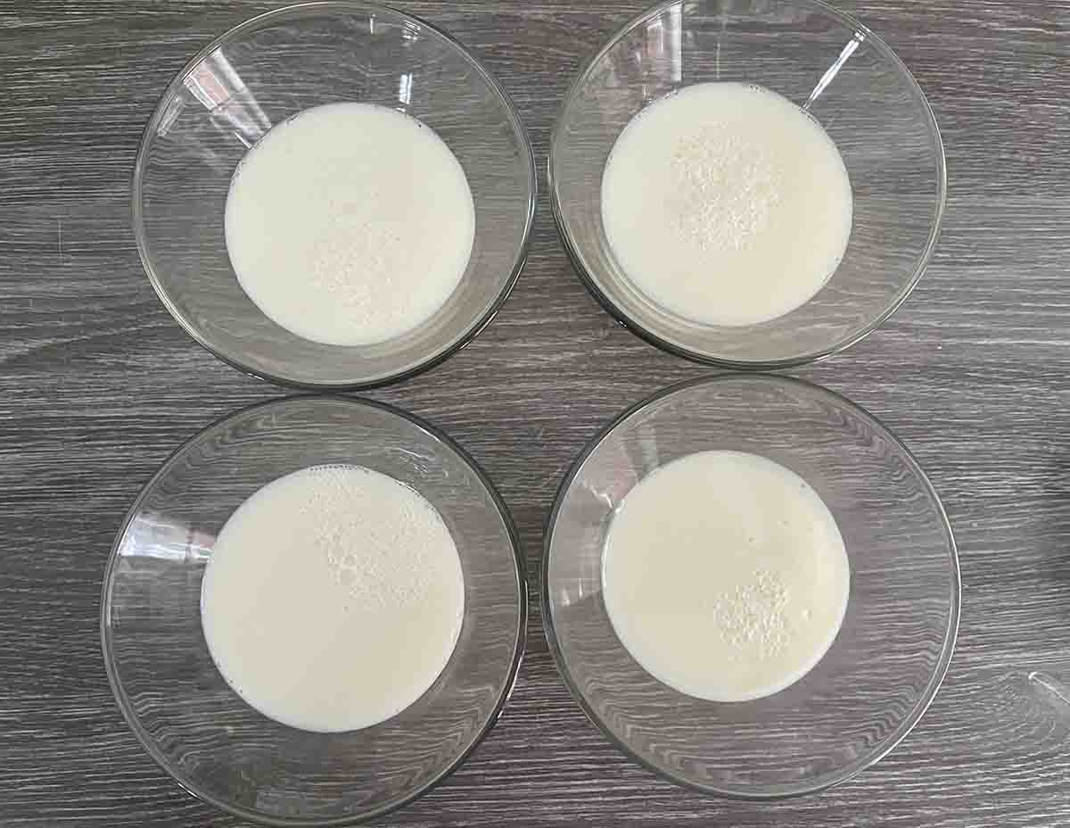milk pudding in glass dishes.