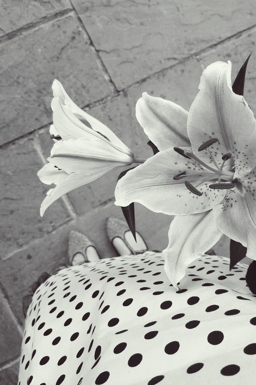 Exploring The Beauty Of Polka Dots And Lilies
