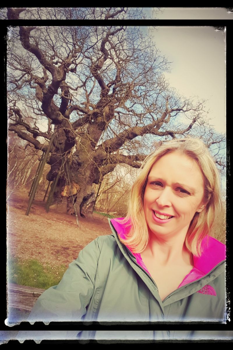 Alice In Wonderland Moment In Sherwood Forest