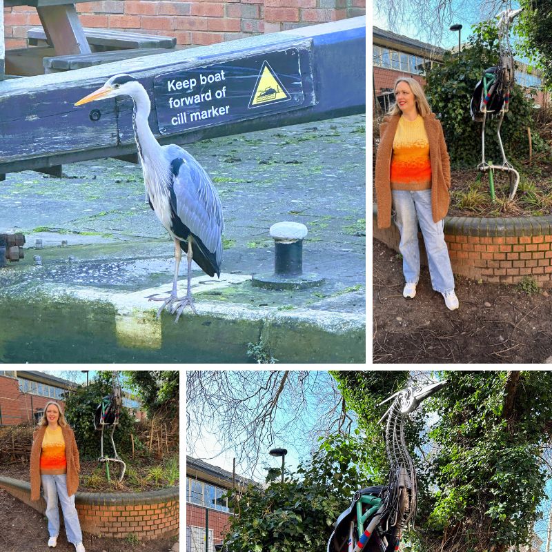 Heron Standing Tall And Proud