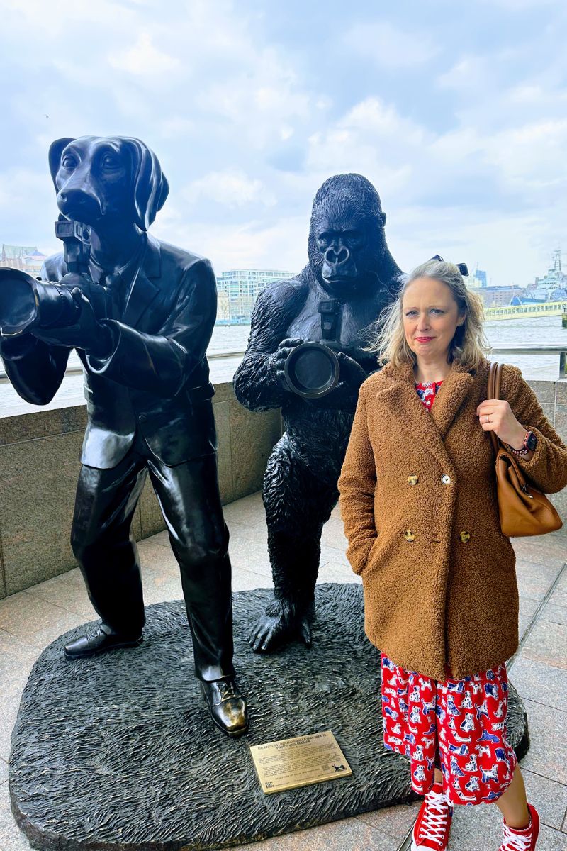 Raining Cats And Dogs & Red Converse All Stars