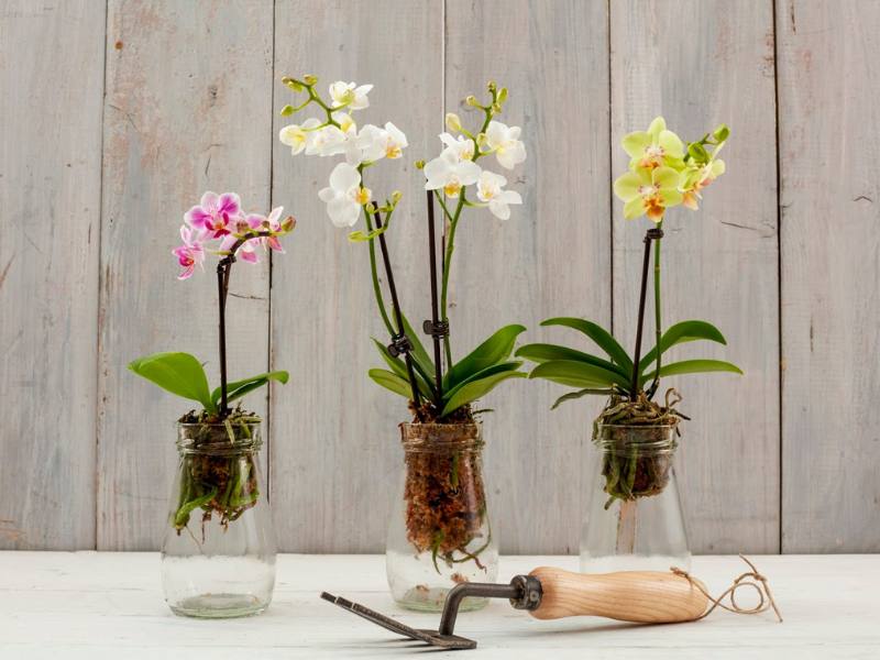 10 Upcycled Jam Jars Ideas