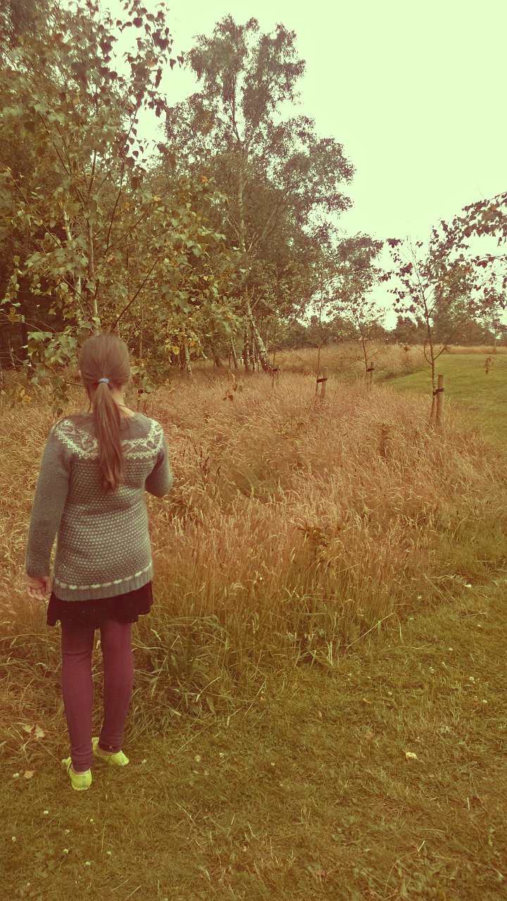 The Day We Went To Visit A Tree