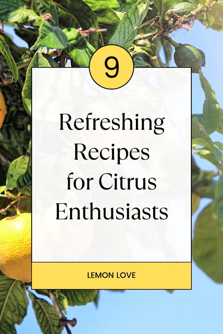 9 Tasty Lemon Recipes. Afternoon Tea Recipes