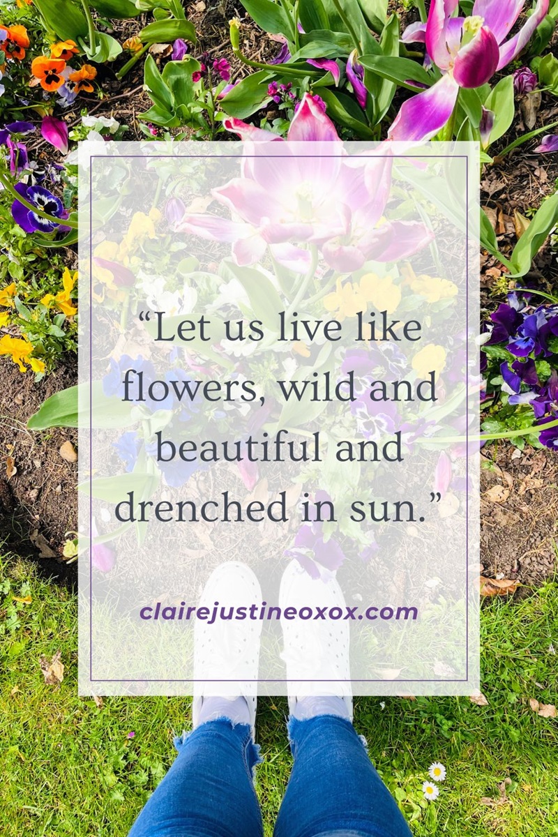 Let us live like flowers, wild and beautiful and drenched in sun