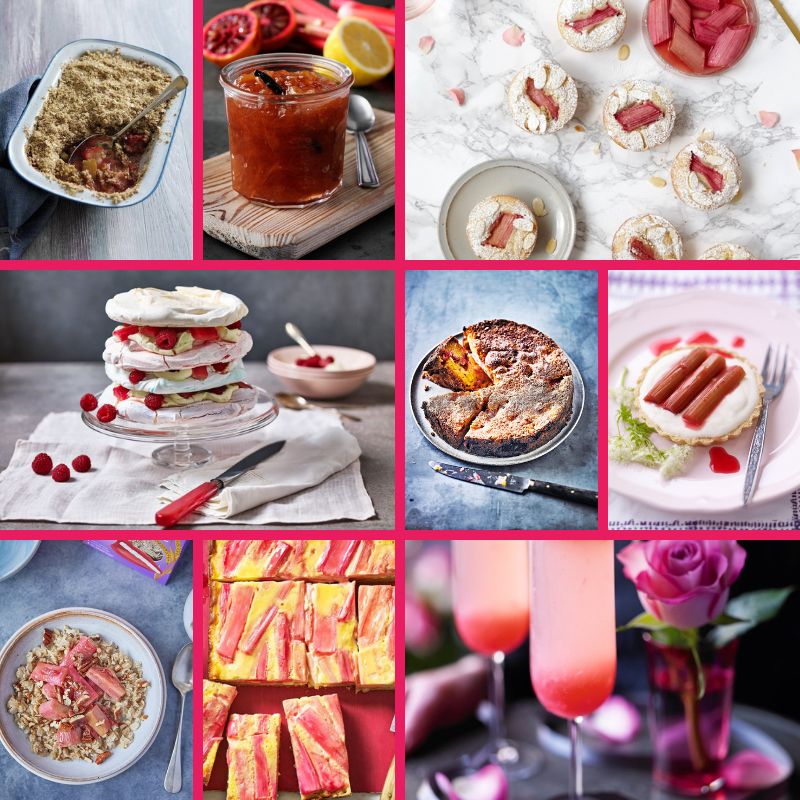 9 Rhubarb Recipes To Try Out This Spring/Summer