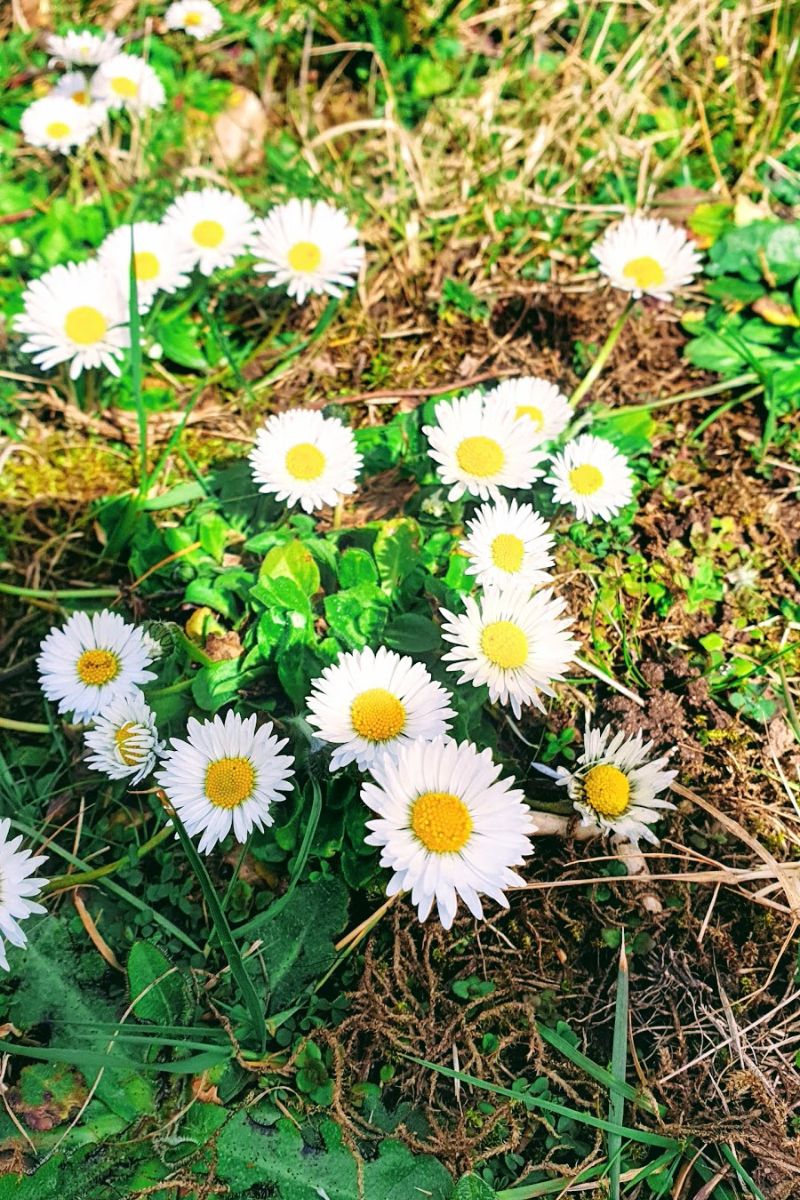 Cream Jumper Dress, Skinny Jeans, And Toy Story, Irregular Choice Shoes