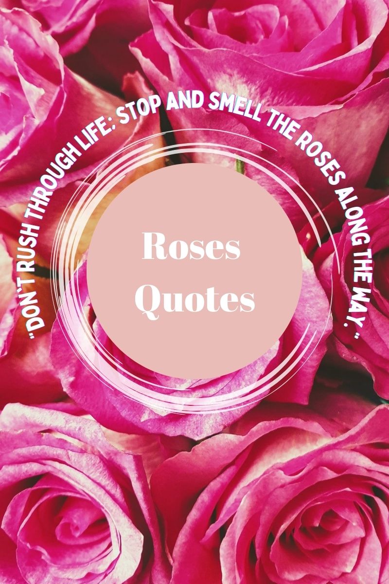 Don't rush through life; stop and smell the roses along the way.