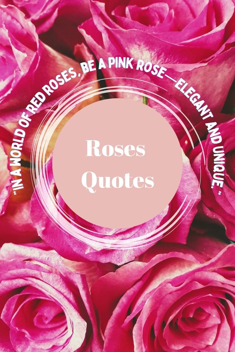In a world of red roses, be a pink rose—elegant and unique
