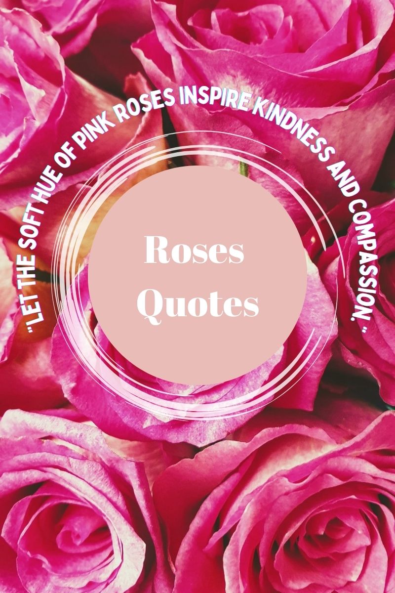 Let the soft hue of pink roses inspire kindness and compassion.