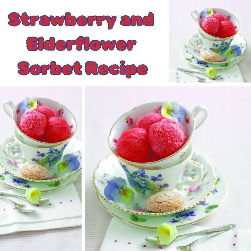 Strawberry and Elderflower Sorbet