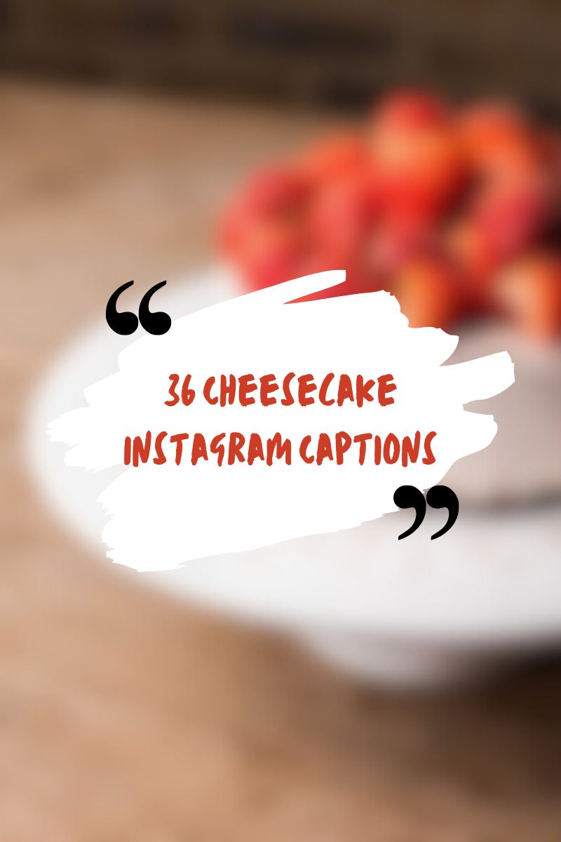 33 Cheesecake Recipes For Afternoon Tea 36 Cheesecake Instagram Captions